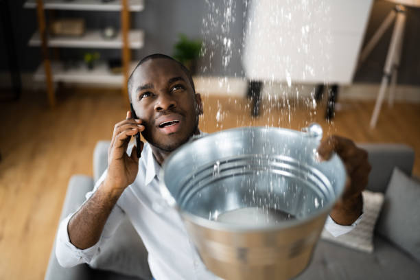 Best Flood damage cleanup  in Sam Rayburn, TX