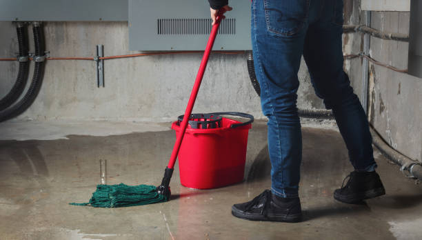 Best Water damage contractors near me  in Sam Rayburn, TX