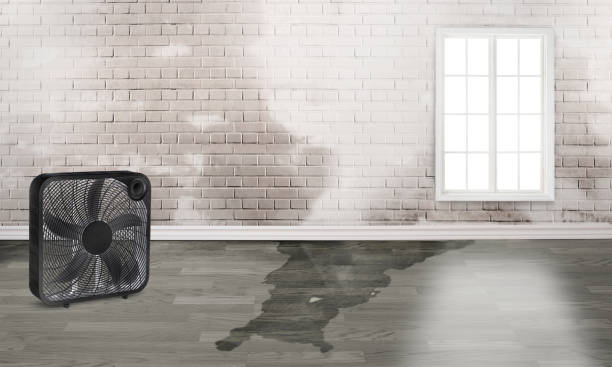 Best 24-hour water damage restoration  in Sam Rayburn, TX