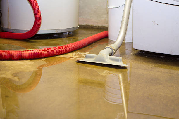 Best Water damage contractors near me  in Sam Rayburn, TX
