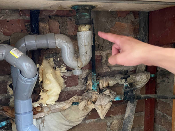 Best Local water damage restoration  in Sam Rayburn, TX