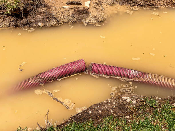 Best Residential water damage restoration  in Sam Rayburn, TX