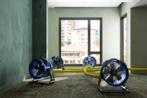 Best Basement water damage restoration  in Sam Rayburn, TX